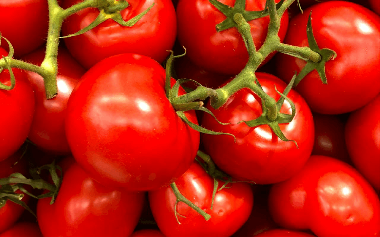 Top 9 Water-Rich Vegetables in UAE Markets-  Tomatoes